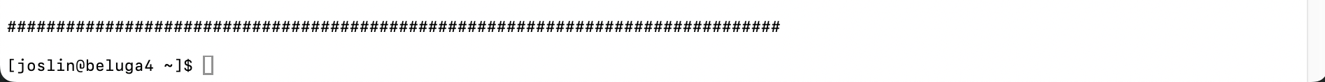 Example of ssh session on a login node. Login nodes generally have hostnames like beluga1, beluga2, etc.